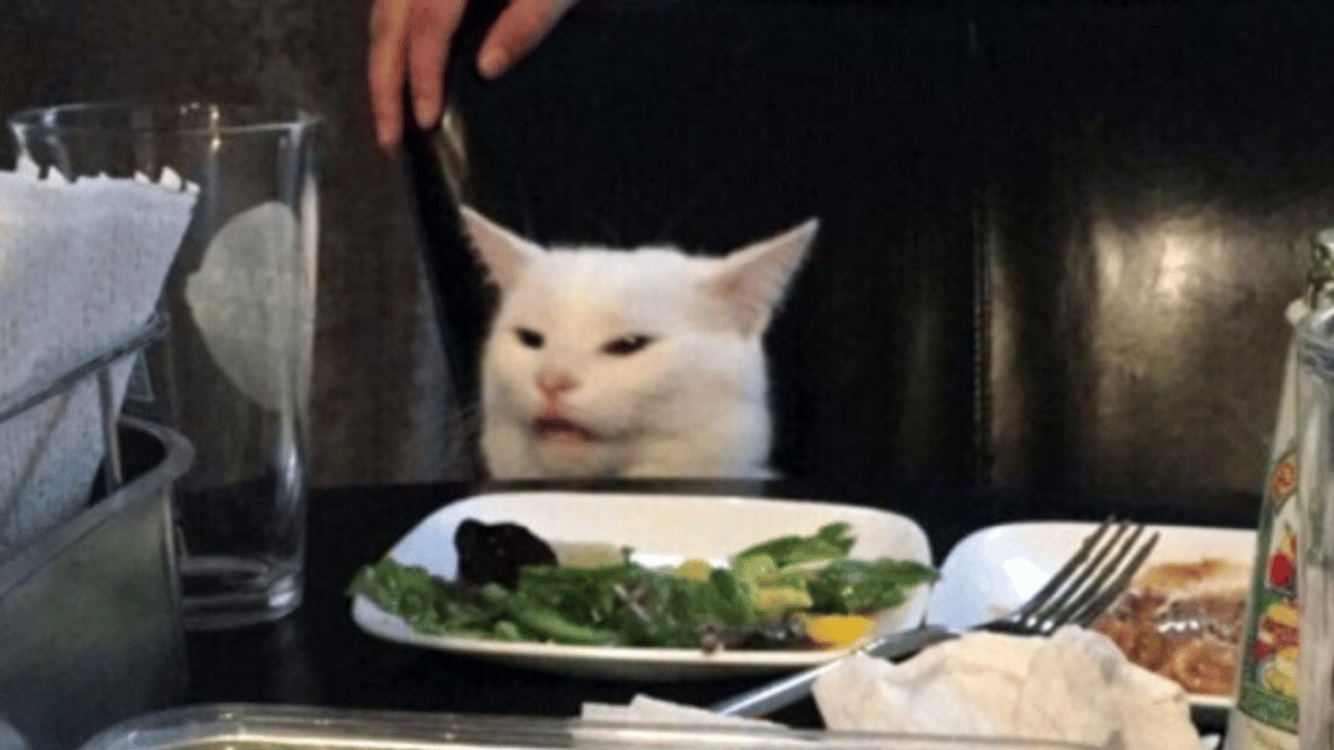 Woman Yelling At Cat Meme To Sell As NFT For Ukrainian Charity&nbsp;–&nbsp;Source:NFTEvening