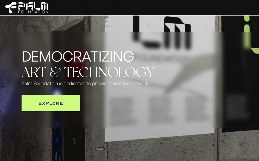 Palm Foundation: New Web3 Platform Launches To Support Marginalised Artists&nbsp;–&nbsp;Source:NFTEvening